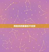 鸡和羊的属相合不合财，羊同鸡适合在一起吗