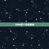 2006年11月的属相，2006年属什么生肖农历9月28是阳历呢几号