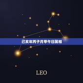 己亥年丙子月甲午日属相，己亥年 丙子月五行属什么？五行缺什么？