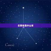 壬寅年是什么年，壬寅年之后是什么年