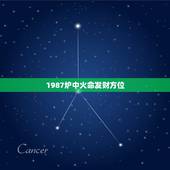 1987炉中火命发财方位，1987炉中火命适合佩戴