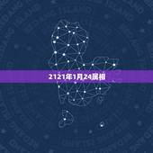 2121年1月24属相，男属蛇女属鸡的婚姻在2121年公历7月1日可以
