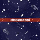 牛和马的属相合不合结婚，牛跟马属相合不合做夫妻