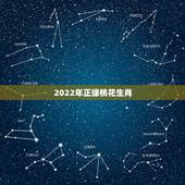 2022年正缘桃花生肖，生肖猪在2022年桃花
