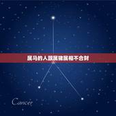 属马的人跟属猪属相不合财，属马的和属猪的合不合财