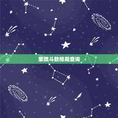紫微斗数格局查询，紫微斗数求人帮我看格局.有图