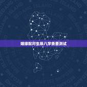 姻缘配对生辰八字免费测试，生辰八字姻缘测试！