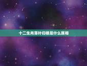 十二生肖落叶归根是什么属相，十二生肖哪属于落叶归根