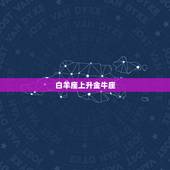 白羊的上升星座怎么看(如何解读你的人际关系)