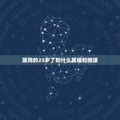 属狗的25岁了和什么属相和姻缘，属狗和什么属相相配