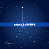 亥月壬日出殡放啥属相，壬谦亥葬坟今年几月几日大利？