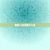 最新12生肖图片大全，12生肖图片大全12张！有黑色的生肖是那些？