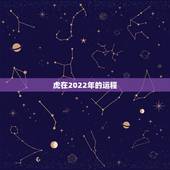 虎在2022年的运程，属虎人在2022年的运势