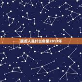 属龙人是什么命星2013年，2013年属什么生肖