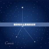 猪的和什么属相的合财，属猪和属兔的合不合