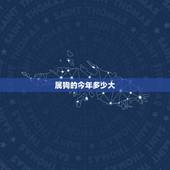 属狗的今年多少大，属蛇的今年多大