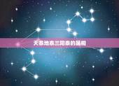 天泰地泰三阳泰的属相，三羊开泰指的是什么生肖