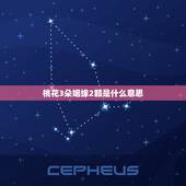 桃花3朵姻缘2颗是什么意思，桃花两朵姻缘一颗