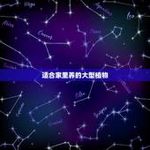 适合家里养的大型植物，北方家里适合养什么大型植物