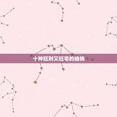 十种旺财又旺宅的植物，家里最旺财的十种花