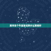 属羊生个牛宝宝该带什么属相好，属羊父母生牛宝宝好吗