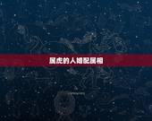 属虎的人婚配属相 虎年婚配什么生肖最好