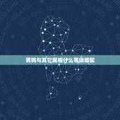 男狗与其它属相什么等级婚配，属狗男的和什么属相最配