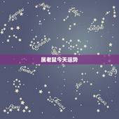 属老鼠今天运势，属鼠今日运势每日运程
