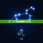 十二生肖表图片2022，2001生肖号码卡照
