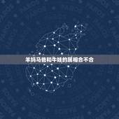 羊妈马爸和牛娃的属相合不合，羊和猪生个什么属相的好