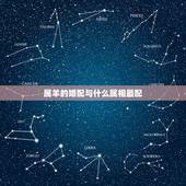 属羊的婚配与什么属相最配，属马的和什么属相最配 找个属羊的对象好不好