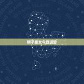 狮子座女今日运势，狮子座女生后天运势