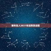 猪年生人2021年运势及运程，猪人牛年运势2021运势详解