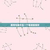 属狗与属牛生一个属相宝宝好，属狗爸爸生牛宝宝好吗