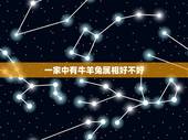 一家中有牛羊兔属相好不好，牛和兔属相合不合财