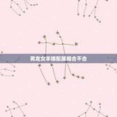男龙女羊婚配属相合不合，属龙男和属羊女婚配