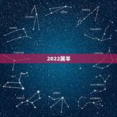 2022属羊，1991年属羊人的灾难年龄