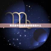 男孩属牛婚配最好的属相是什么，属牛的和什么生肖最配