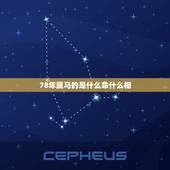 78年属马的是什么命什么相，1978年属马的到底是火命还是土命