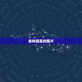 各种蔬菜的图片，请大家给我提供常见的各种蔬菜的图片.
