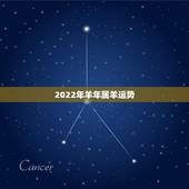 2022年羊年属羊运势，2021年属羊女人的全年运势1979年