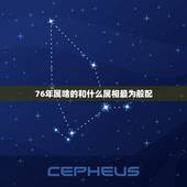 76年属啥的和什么属相最为般配，76年的男人和什么属相的合婚