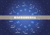 属马的更佳婚配是什么，属马生肖配对