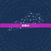 红包28.88中文什么意思，收到红包数字是28.88是什么意思