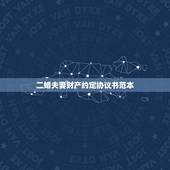 二婚夫妻财产约定协议书范本，再婚婚内财产协议怎么写