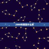 2008年属鼠什么命，2008年属鼠的男孩一生的命运