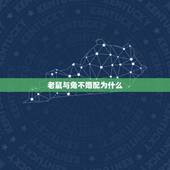 老鼠与兔不婚配为什么，生肖鼠和生肖兔配不配？