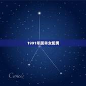 1991年属羊女配男，1991年属羊男和属羊女