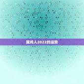 属鸡人2022的运势，生肖鸡未来5年的运势