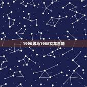 1990男马1988女龙合婚，88年龙女和马男孩好吗